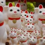 招き猫がいっぱい
