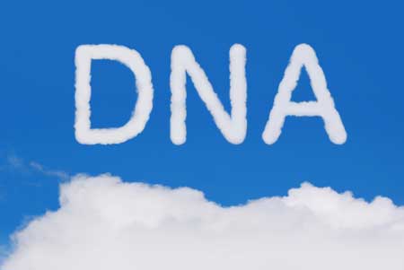 DNAの文字